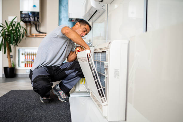 Best Affordable Air Duct Cleaning  in Shingle Springs, CA
