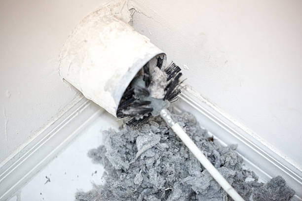 Best HVAC Air Duct Cleaning  in Shingle Springs, CA